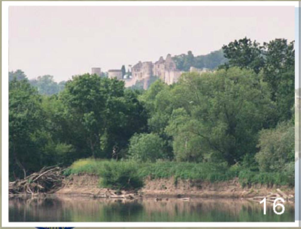 Domaine Du Heron Chinon Exteriér fotografie